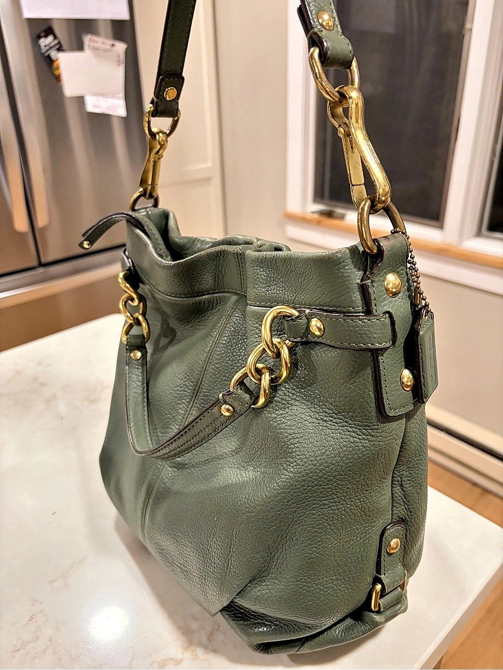 Coach Madison Leather Hobo Bag in Green
